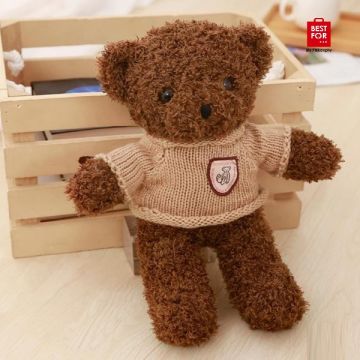 Plush Teddy Bear-Model 1