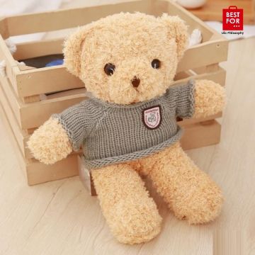 Plush Teddy Bear-Model 2