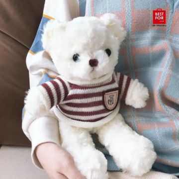 Teddy Bear with Stripped Shirt-Model 1