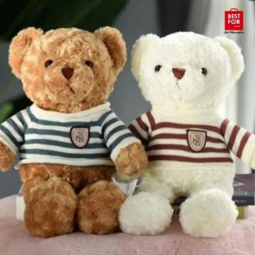 Teddy Bear with Stripped Shirt